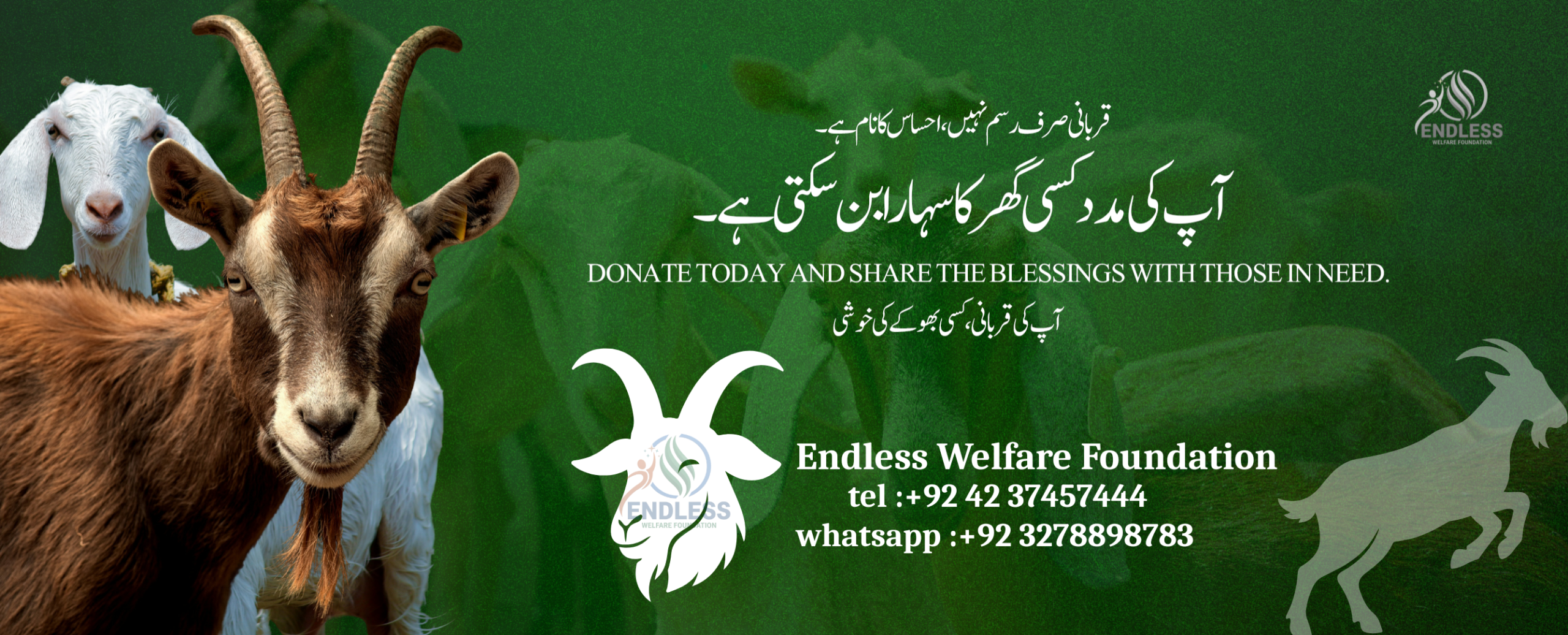 Copy of Endless Welfare Foundation (1)